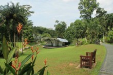 Удивительно красивый сад орхидей!!!