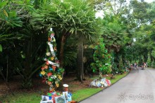 Удивительно красивый сад орхидей!!!