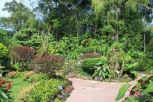 Удивительно красивый сад орхидей!!!