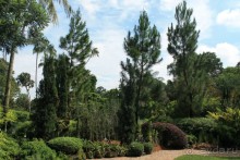 Удивительно красивый сад орхидей!!!