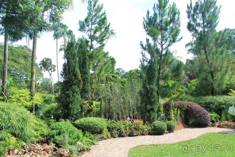 Удивительно красивый сад орхидей!!!