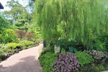 Удивительно красивый сад орхидей!!!