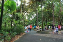 Удивительно красивый сад орхидей!!!