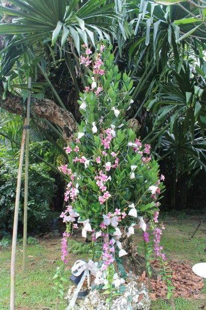 Удивительно красивый сад орхидей!!!