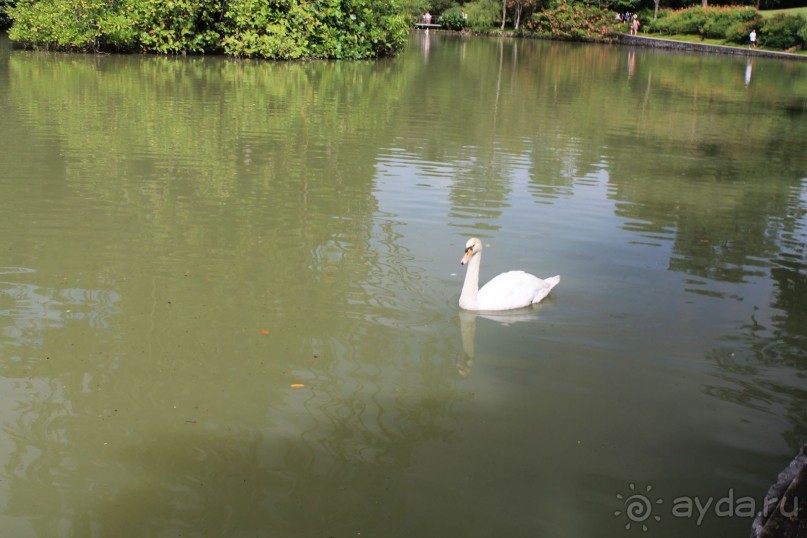 Удивительно красивый сад орхидей!!!