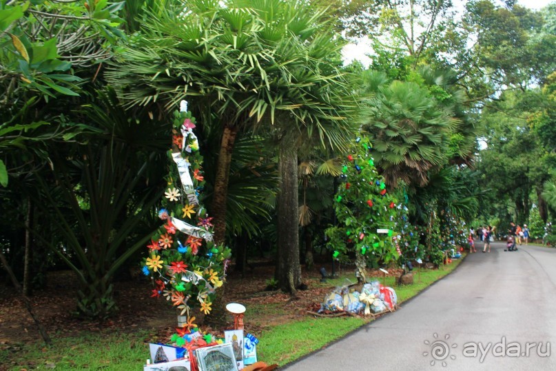 Удивительно красивый сад орхидей!!!