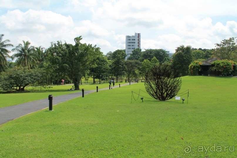 Удивительно красивый сад орхидей!!!