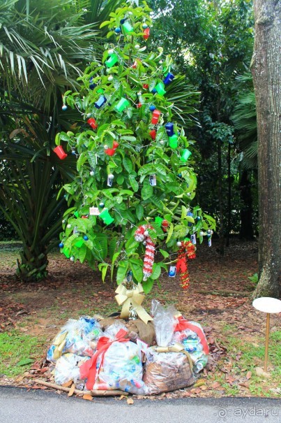 Удивительно красивый сад орхидей!!!