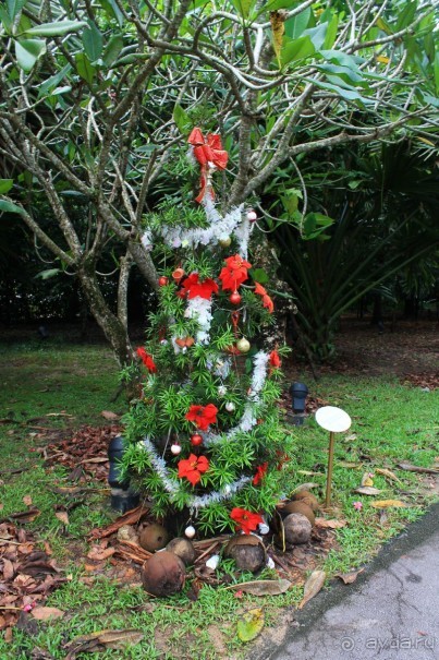 Удивительно красивый сад орхидей!!!