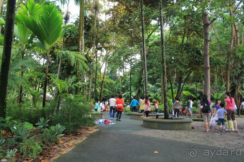 Удивительно красивый сад орхидей!!!