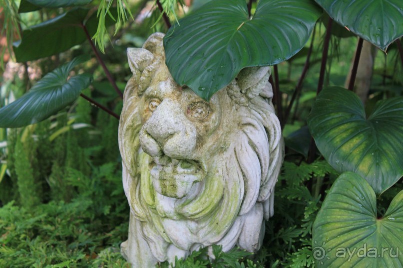 Удивительно красивый сад орхидей!!!