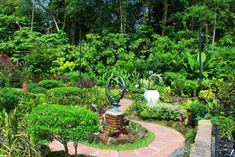 Удивительно красивый сад орхидей!!!