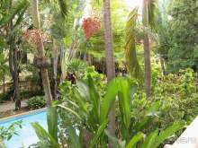 фото Botany Beach Resort