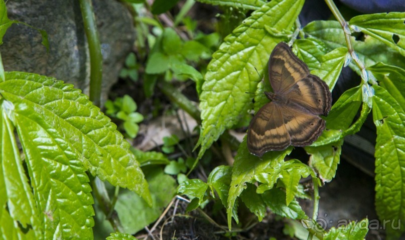 Самый красивый водопад Бали!!!