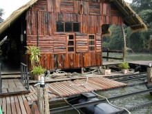 Что тайцу хорошо – то русскому…