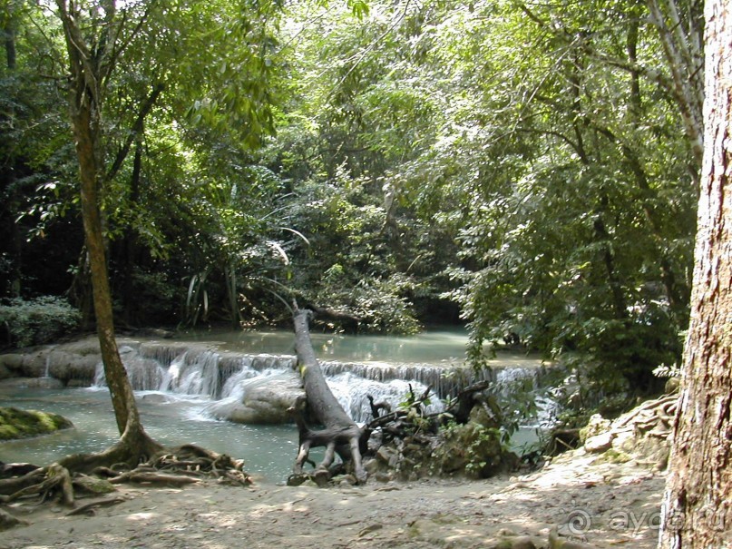 Что тайцу хорошо – то русскому…