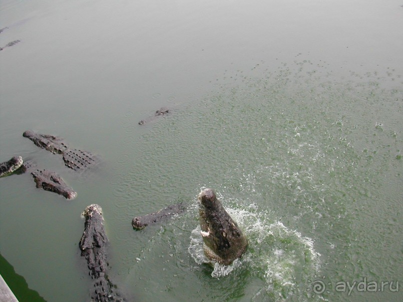 Что тайцу хорошо – то русскому…