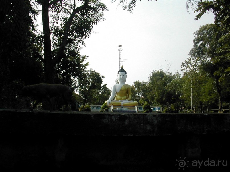 Что тайцу хорошо – то русскому…