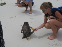 Рай на берегу Андаманского моря.