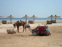 фото Harmony Makadi Bay Hotel & Resort 