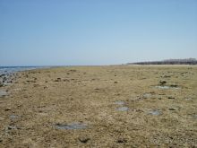 Не все фотки прошли. Добавляю