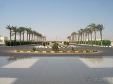 Не все фотки прошли. Добавляю