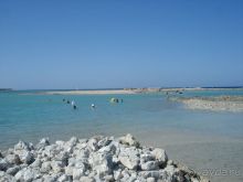 Не все фотки прошли. Добавляю