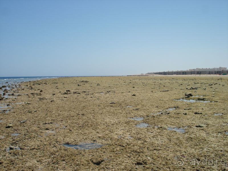 Не все фотки прошли. Добавляю