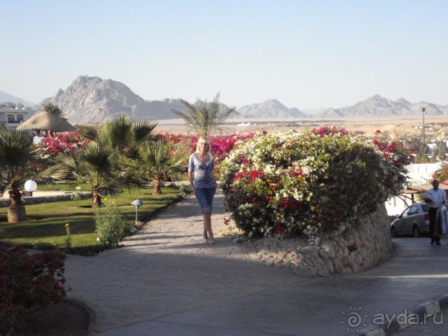 фото Nika Island Resort