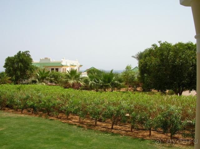 фото Park Regency Sharm El Sheikh Resort