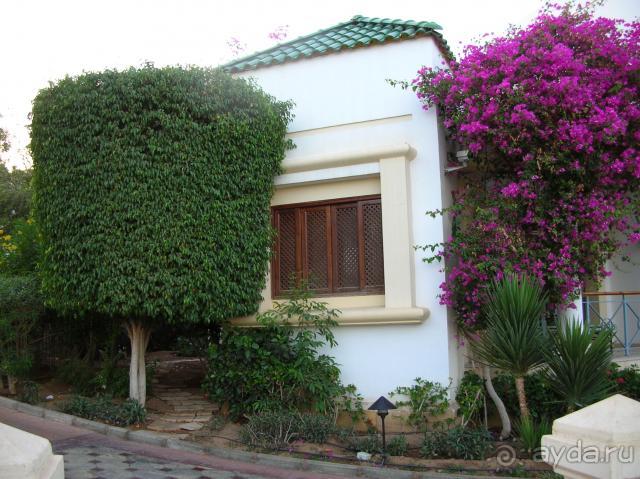 фото Park Regency Sharm El Sheikh Resort