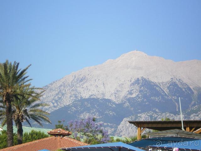 фото Sun Island Resort & Spa