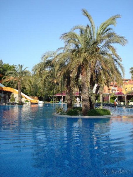 фото Side Star Elegance