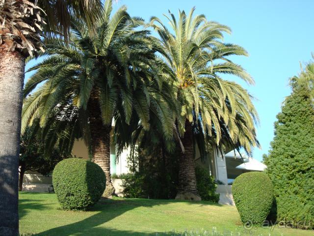 фото Side Star Elegance