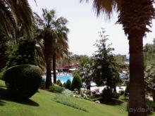 фото Side Star Elegance