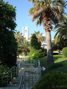 фото Side Star Elegance