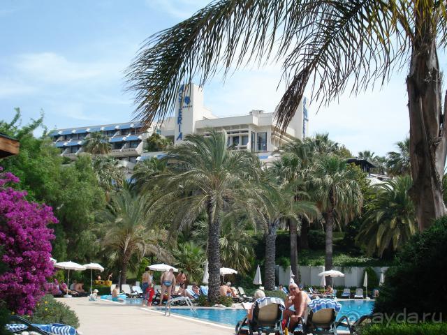 фото Side Star Elegance