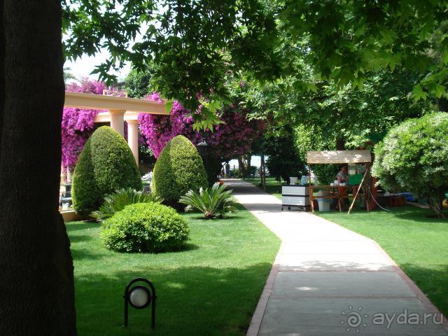 фото Side Star Elegance