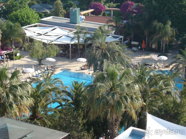 фото Side Star Elegance