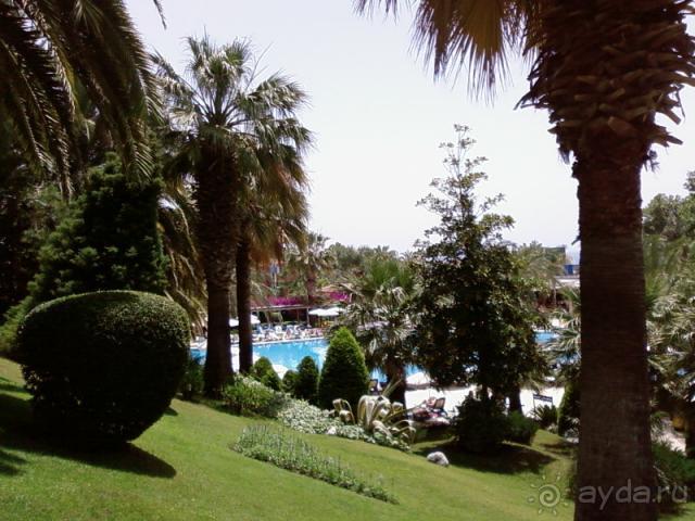 фото Side Star Elegance