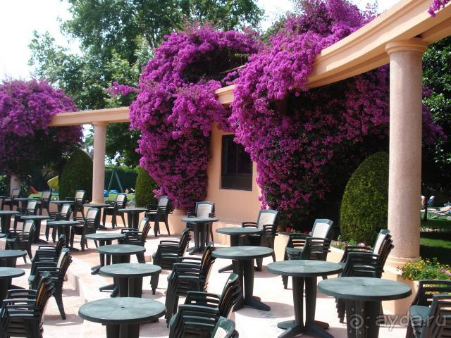 фото Side Star Elegance