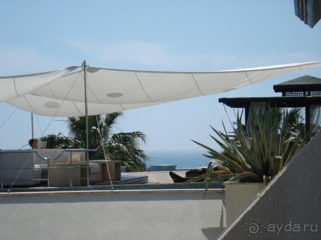 фото Side Star Elegance