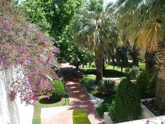 фото Side Star Elegance