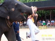 фото Grand Jomtien Palace