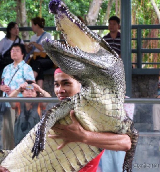 фото Grand Jomtien Palace
