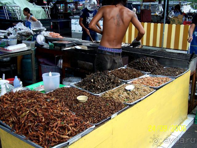 фото Grand Jomtien Palace