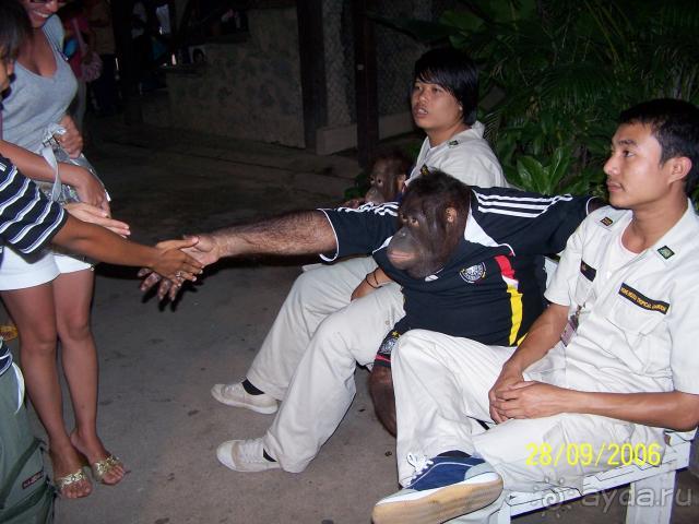 фото Grand Jomtien Palace