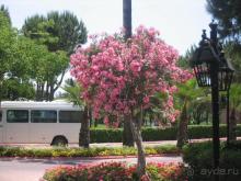 Ни на минуту не пожалела о выборе отеля