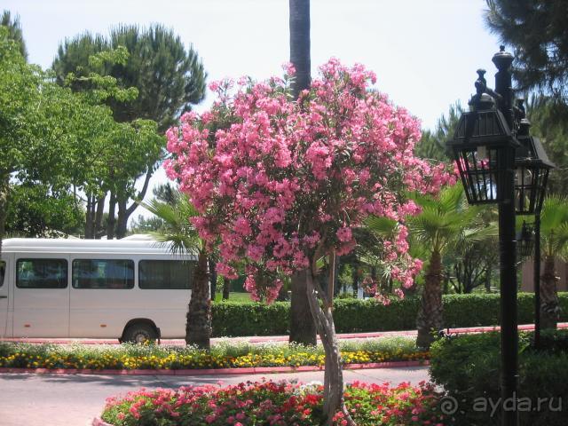 Ни на минуту не пожалела о выборе отеля