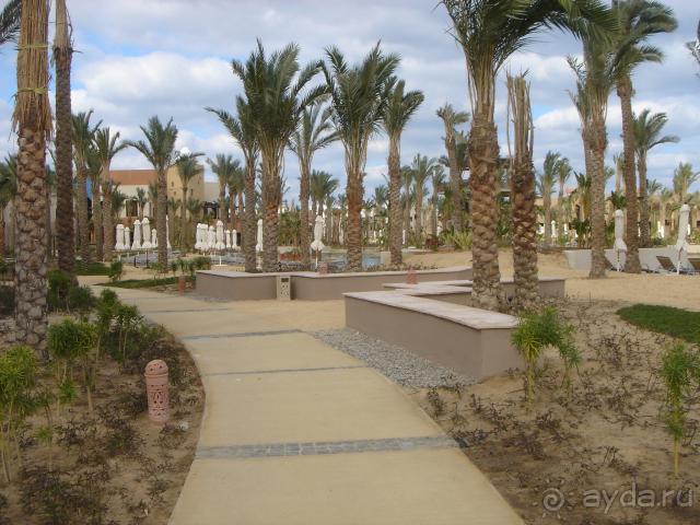 Intercontinental The Palace Port Ghalib